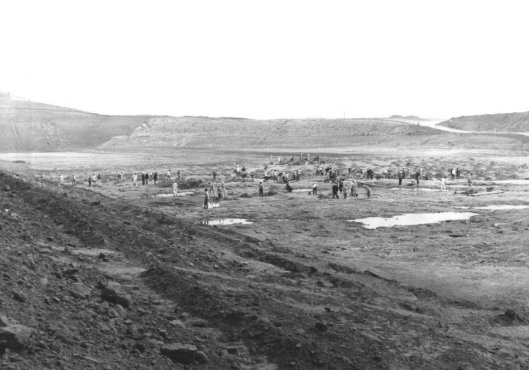 Implantação do núcleo urbano de Ilha Solteira